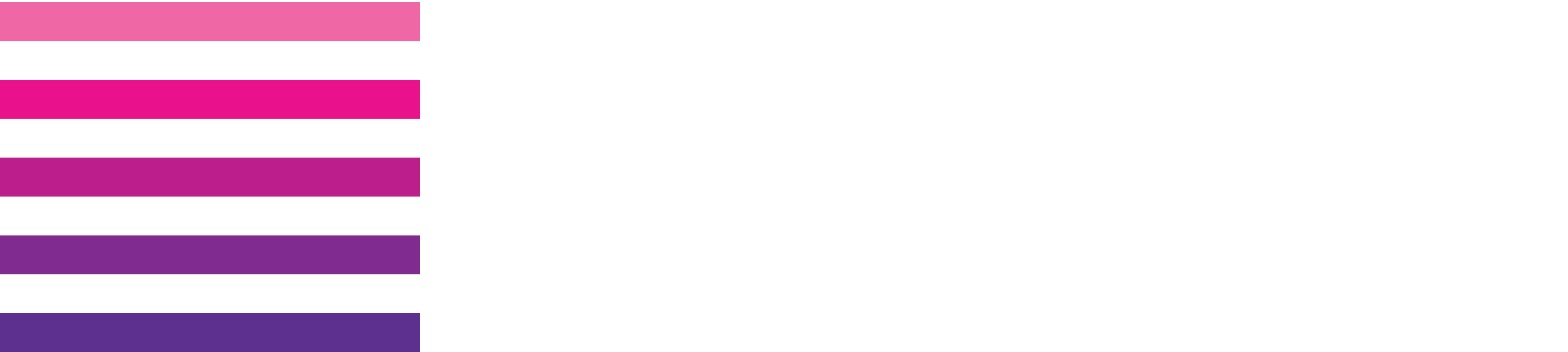 NMC Logo